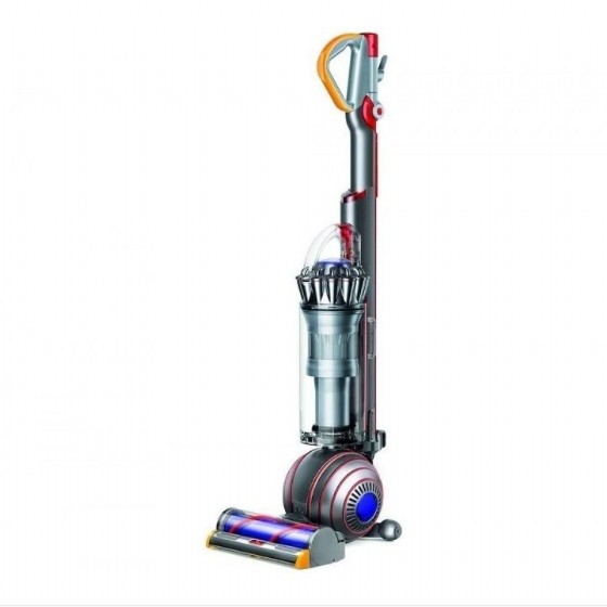���� ��� DYSON ������ DC UP 24 ANIMAL